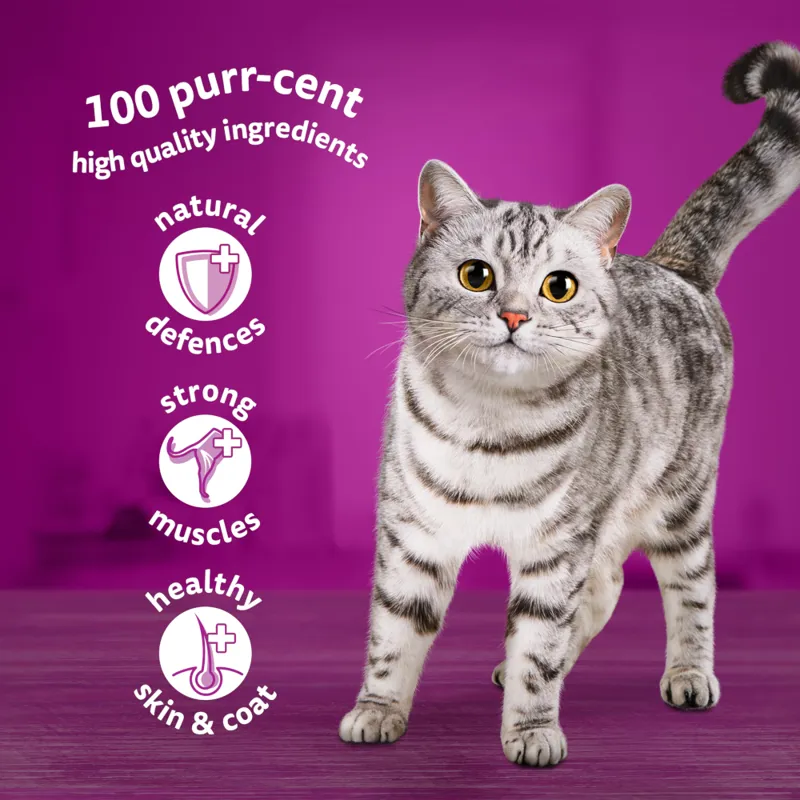 Whiskas Pouches Adult 1+ Poultry Feasts in Gravy 12 x 85g-1